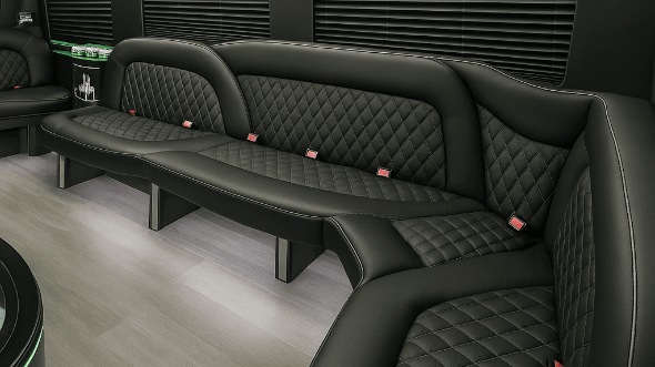 Interior of Conway Party Bus Company's 14 Passenger Sprinter Limousine in Conway
