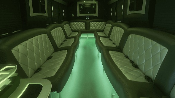 cabot 20 passenger party bus